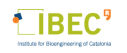 IBEC logo