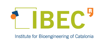 IBEC logo